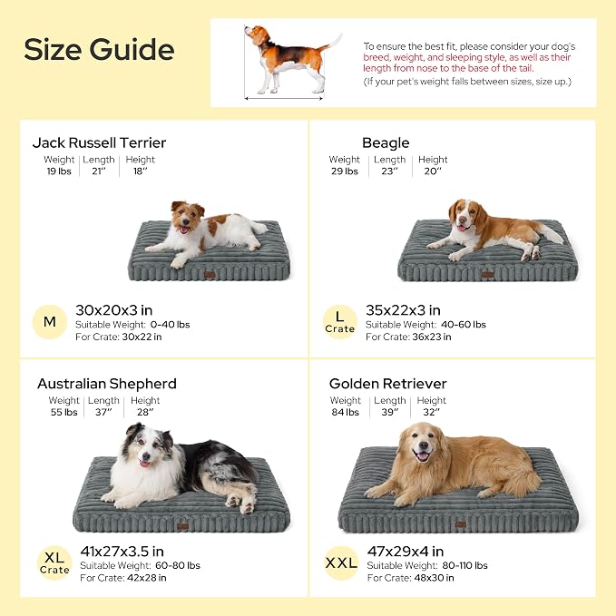 Bedsure ComfyFleece™ Fluffy Balanced Support,Dog Bed Medium Size Dog,30x20 | Golden Ratio Chopped Foam & PP Cotton, Upscale Home Decor,Waterproof Liner, Removable Washable Cover, Nonslip Bottom,Cream - Image 8