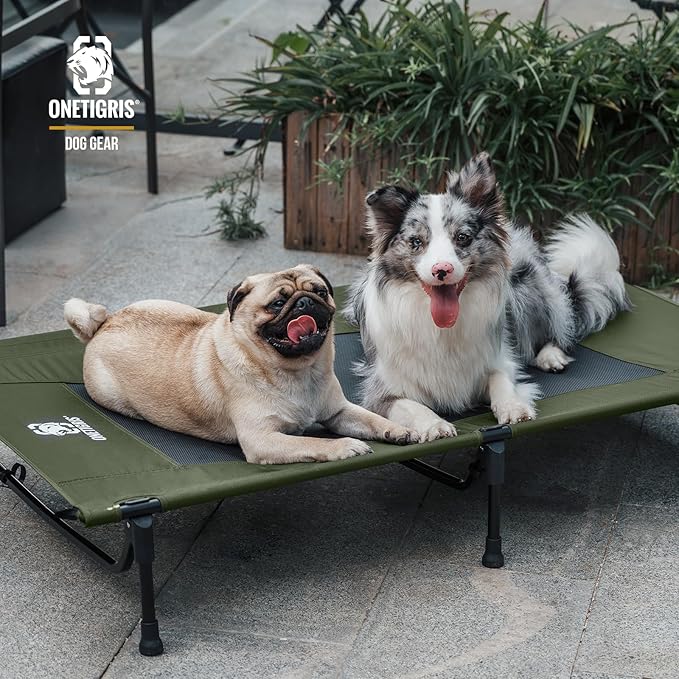 ONETIGRIS Elevated Dog Bed, Outdoor Dog Cod Large Raised Dogs Bed with Chew Proof Mesh, No-Slip Portable Dogs Cot Bed for Indoor & Outdoor Portable (Green, Medium)