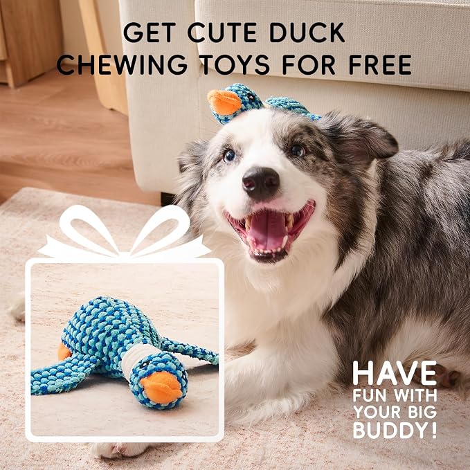 Homemate Dog Bed Large Sized Dog: 42x30 inch Orthopedic Large Dogs Bed XL Outdoor Pet Cat Bed Sofa Supplies with Toy Dogs Crate Pad Couch with Removable Washable Cover & Non-Slip Botton Light Grey | Large Dogs Bed with Non-Slip Botton & Removable Washa... - Image 2