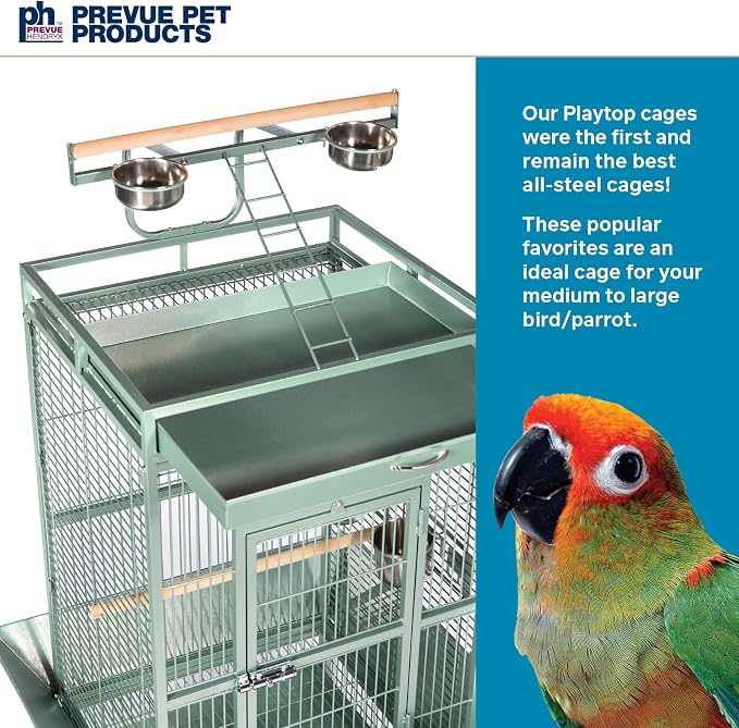 Prevue Pet Products Wrought Iron Select Bird Cage - Large Steel Cage with Rolling Stand, Seed Guards, and Playtop, Durable Design, Ideal for Conures and Medium Birds - Sage Green - Image 2