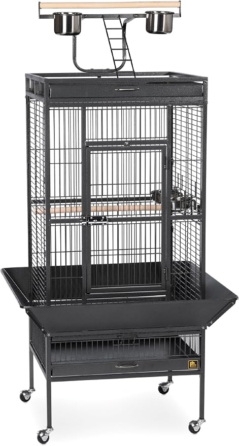 Prevue Pet Products Wrought Iron Select Bird Cage - Large Steel Cage with Rolling Stand, Seed Guards, and Playtop, Ideal for Conures and Medium Birds - Black Hammertone by PrevuePetProducts