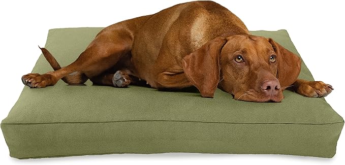 X-Small -24 x 18 x 4 - Cactus Premium Organic Hemp Dog Bed - CertiPUR Fill - Removeable Cover by BeanProducts