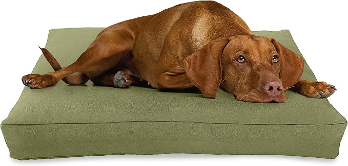 XX-Small - 18 x 12 x 4 - Cactus Premium Organic Hemp Dog Bed - CertiPUR Fill - Removeable Cover by BeanProducts