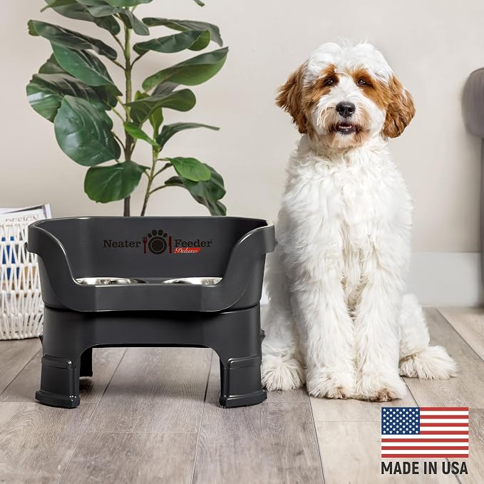 Neater Feeder Deluxe Mess-Proof Elevated Dog Bowls for Medium Dogs (19–40 lbs), 2 Height Adjustable (10” & 12.5”) No-Spill Raised Dog Bowl Stand, Stainless Steel Food Bowl Set, Made in USA, Black - Image 2