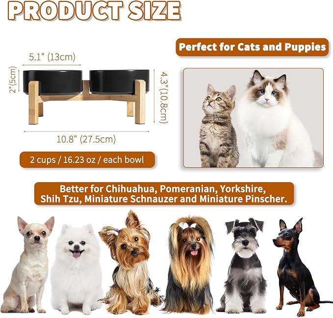 Elevated Ceramic Dog Bowl, 2 Cups Dog Food and Water Bowl Set with Stand | 5.1'' Double Dog Feeding Dishes, Non-Slip Raised Dog Feeder for Cats and Puppies, 16.23 OZ / 480 ML, White - Image 2