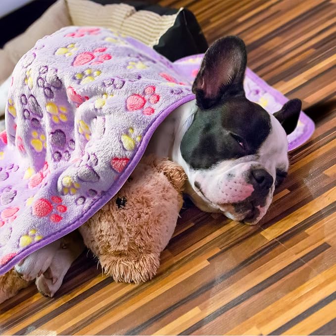 Tatuo 4 Pack Fleece Dog Blankets for Puppy Cats Multi-Size Sleep Mat for Pet Guinea Pig Soft Washable Warm Crate Bed Puppy Teething Toys Print Pattern Blanket Indoor(Purple,30 x 20.5 Inch,Paw) - Image 5