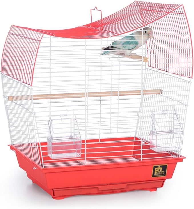 Prevue Pet Products South Beach Wave Top Bird Cage, Lime Green (SP50081) - Image 4