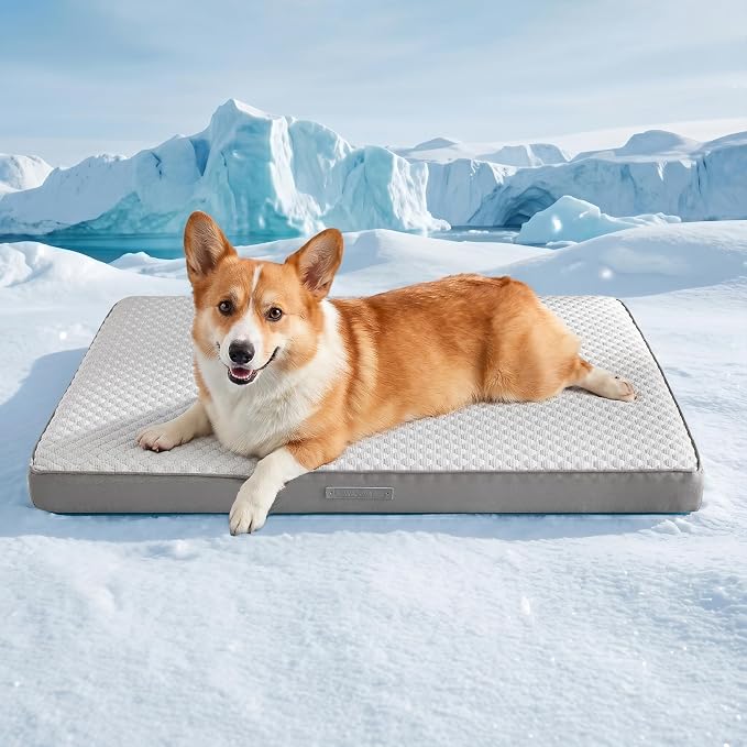 WDCOZY Orthopedic Cooling Dog Bed for Large Dogs, Q-Max>0.4 Breathable Summer Pet Mat with High Density Memory Foam, Removable Washable Cover, Non-Slip Dog Crate Bed for Pets Up to 60 lbs，36x23 Inch by WDCOZY