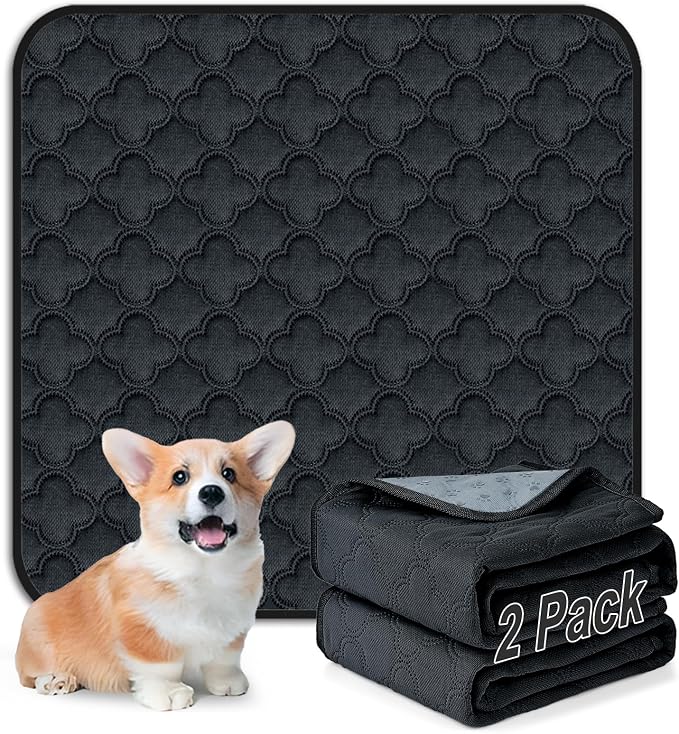 FunFurry Washable Pee Pads for Dogs - 2 Pack Reusable Pee Pads，Waterproof Puppy Pads，Pet Training Pads，Super Absorbent with Dog Paw Shape Non-Slip Backing (Dark Grey, 24" X 24" - 2 Pack) by FUNUPFURRYLIFE