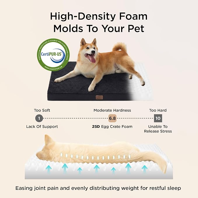 Bedsure ComfyFleece Small Dog Bed with Washable Cover, 23x17 Cat Puppy Bed | Orthopedic Egg Crate Foam Pet Mat,Removable Cover, Nonslip Bottom,Not Waterproof,Not Chewproof,For Small Breeds up to 15lbs - Image 3