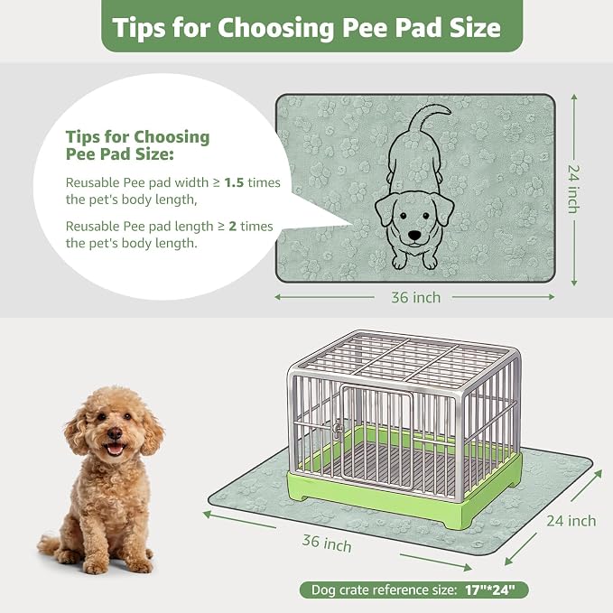 LOOBANI Washable Pee Pads for Dogs, Potty Training, 36"x24", 2-Pack | Super Absorbent Reusable Puppy Pads For Whelping, Crates, Floors, Couches, Waterproof, Leakproof, Non Slip - Image 2