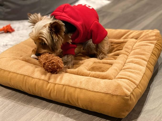 TONBO Soft Plush Small Cute and Cozy Chicken and Waffles Dog Cat Bed, Chicken Crinkle Toy Included, Washer and Dryer Friendly (Brown) - Image 2