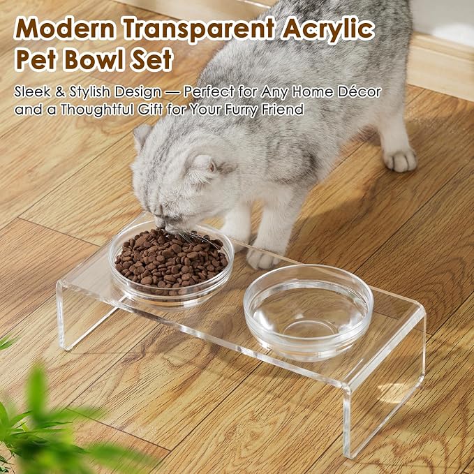 Feoyoho Elevated Acrylic Pet Bowl Stand – Raised Cat & Dog Bowls with 2 Glass & 2 Stainless Steel Bowls, Modern Clear Design, Non-Slip, Easy to Clean, Perfect for Small Pets, 3.75" Tall - Image 2