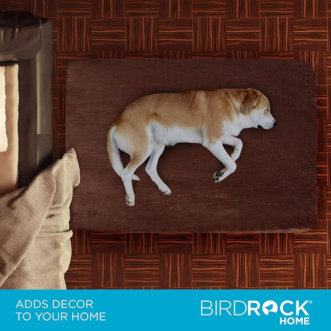 BIRDROCK HOME 2" Memory Foam Dog Beds | Ultra Soft Plush Pet Bed | Removable Cover | Pet | Crate Bed (40 X 26, Brown) - Image 4