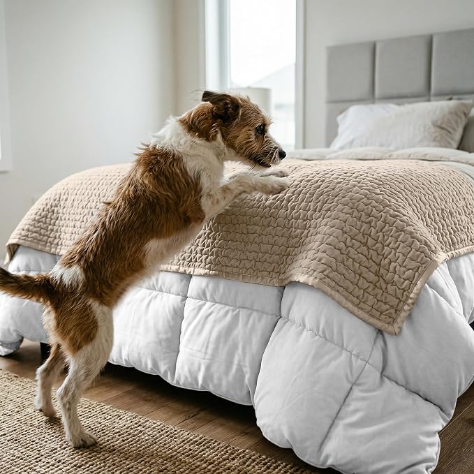 PAULATO BY GA.I.CO. Waterproof Blanket for Bed – Queen Absorbent Couch Cover – Machine Washable Stain-Proof Pad for Large Sofa – Pets Dogs & Cats Friendly Protector - Macadamia - Image 2
