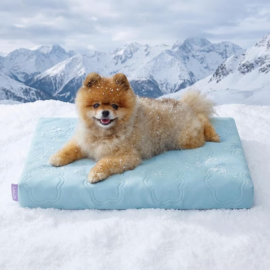LE SURE ApexCloud™ Small Cooling Dog Bed with Washable Cover, 23x17 Inch | Q-Max>0.5 Cool-Touch Fabric, Orthopedic Egg Crate Foam,Breathable Non-Slip Summer Mat,For Active Senior Long-Haired Pets,Blue by Lesure