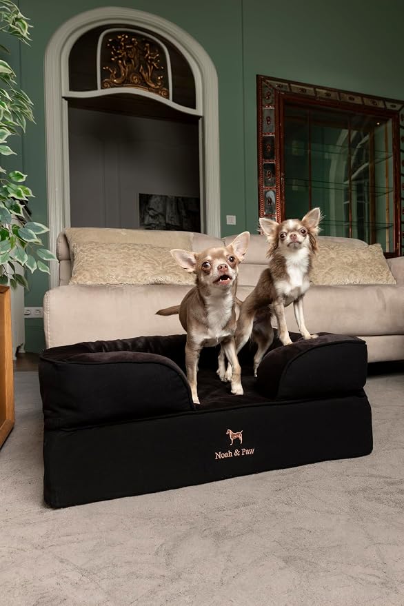 NOAH & PAW Dog Bed, 28x23x11 Inch, Orthopedic Dog Beds for Medium Size Pets, Eggshell Memory Foam Infused with Cooling Gel, Inner Cover, Water Resistant, Machine Washable (Denim Sofa Collection) - Image 8