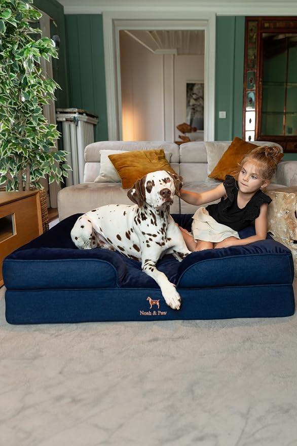 NOAH & PAW XL Dog Bed, 45x35x11 Inch, Orthopedic Large Dog Beds, Eggshell Memory Foam Infused with Cooling Gel, Inner Cover, Water Resistant, Machine Washable (Denim Sofa Collection) - Image 2