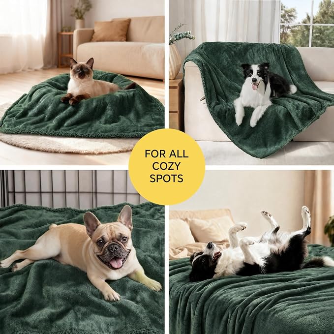 Luciphia Waterproof Pet Blanket, Liquid Pee Proof Dog Blanket for Sofa Bed Couch, Reversible Sherpa Fleece Furniture Protector Cover for Small Medium Large Dogs Cats, Dark Green X-Large（85" x 57"） - Image 6