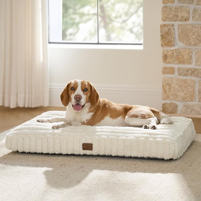 Bedsure ComfyFleece™ Fluffy Balanced Support Large Dog Bed for Crate,35x22 | Golden Ratio Chopped Foam & PP Cotton, Upscale Home Decor,Waterproof Liner, Removable Washable Cover, Nonslip Bottom,Cream by BEDSURE
