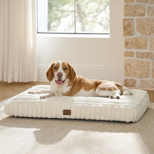 Bedsure ComfyFleece™ Fluffy Balanced Support Large Dog Bed for Crate,35x22 | Golden Ratio Chopped Foam & PP Cotton, Upscale Home Decor,Waterproof Liner, Removable Washable Cover, Nonslip Bottom,Cream by BEDSURE