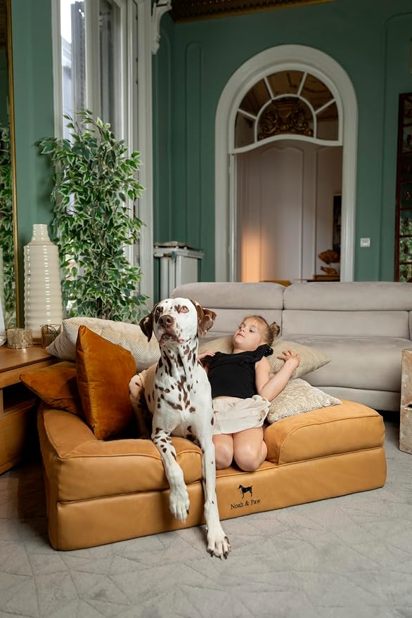 NOAH & PAW Large Dog Bed, 35x25x11 Inch, Orthopedic Dog Beds, Eggshell Memory Foam Infused with Cooling Gel, Inner Cover, Water Resistant, Machine Washable (Velvet Sofa Collection) - Image 2