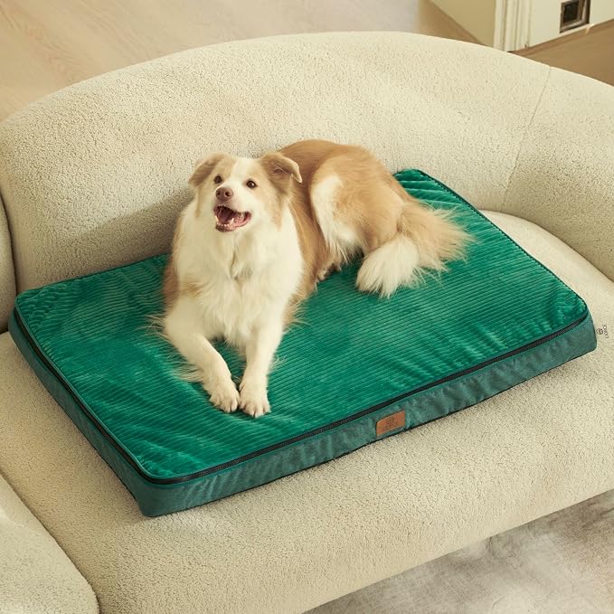 LIORCE Memory Foam XL Dog Bed - 4” Thick Orthopedic Beds for Extra Large Dogs - Waterproof Dog Bed with Removable Washable Cover & Wrap-Around Zipper - Ultimate Comfort and Easy Maintenance, Green by LIORCE
