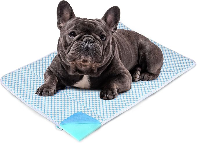 Dog Cooling Mat for Large Dogs – 30"x20" Orthopedic Memory Foam Pad for Summer, Hot Weather & Joint Relief | Washable, Non-Slip Crate Mat for Senior Dogs, Travel & Home (Blue) - Image 7