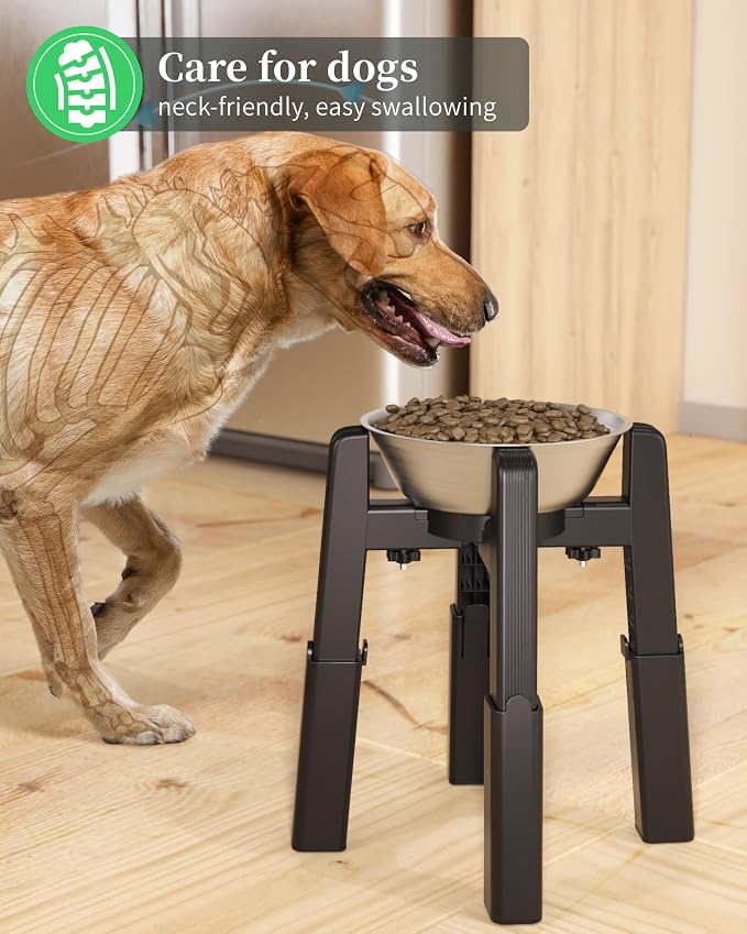 CZPET Elevated Dog Bowl, Raised Dog Bowl Stand with Stainless Steel Bowl | Elevated Pet Water & Food Bowl for Medium Dogs, Stable and Anti-Slip Raised Bowl - Image 7