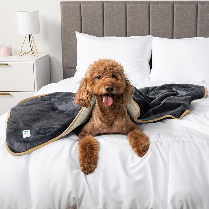 PetAmi Waterproof Dog Blanket for Medium Large Dogs, Pee Proof Pet Blanket for Couch Bed, Reversible Water Proof Blanket for Puppy Indoor Cat, Soft Dog Fleece Blankets Washable, 40x60 Gray/Beige - Image 6