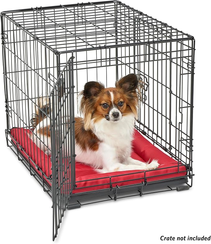 MidWest Homes for Pets Ultra-Rugged MAXX Dog Bed, Water Repellant, Easy Wipe Clean, Super Durable, Fits 24-inch Dog Crates, Red, 23L x 18W x 3H inches - Image 4