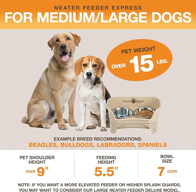 Neater Feeder Express Mess Proof Dog Bowls Elevated for Medium to Large Sized Breed, No Spill Raised Dog Food Bowl Stand, Stainless Steel Food and Water Bowl Set, Pet Dish Feeding Station, Almond - Image 5