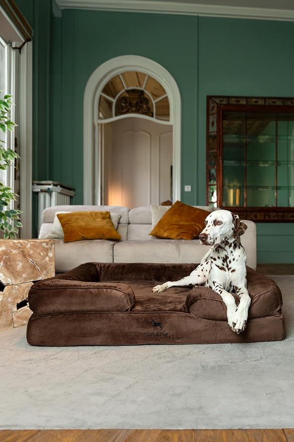 NOAH & PAW XL Dog Bed, 45x35x11 Inch, Orthopedic Large Dog Beds, Eggshell Memory Foam Infused with Cooling Gel, Inner Cover, Water Resistant, Machine Washable (Velvet Sofa Collection) - Image 3
