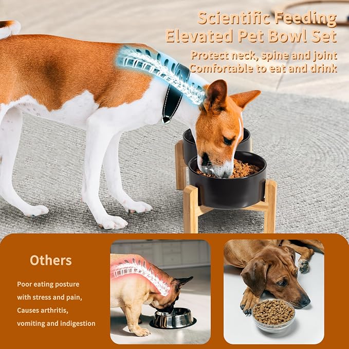 Elevated Ceramic Dog Bowl, 3.6 Cups Dog Food and Water Bowl Set with Stand | 6.1'' Double Dog Feeding Dishes, Non-Slip Raised Dog Feeder for Small and Medium Breeds, 28.74 OZ / 850 ML, White - Image 4