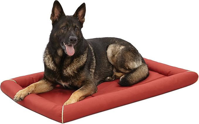 MidWest Homes for Pets XL QuietTime MAXX Ultra-Rugged Dog Bed, Water & Odor Resistant, Bolstered Edge, Non-Slip Bottom, Fits 48-inch Crates, Brick by MidWestHomesForPets