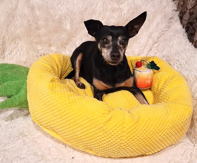 TONBO Soft Plush Small Cute and Cozy Food Dog Cat Bed, Washer and Dryer Friendly (Pineapple) - Image 5