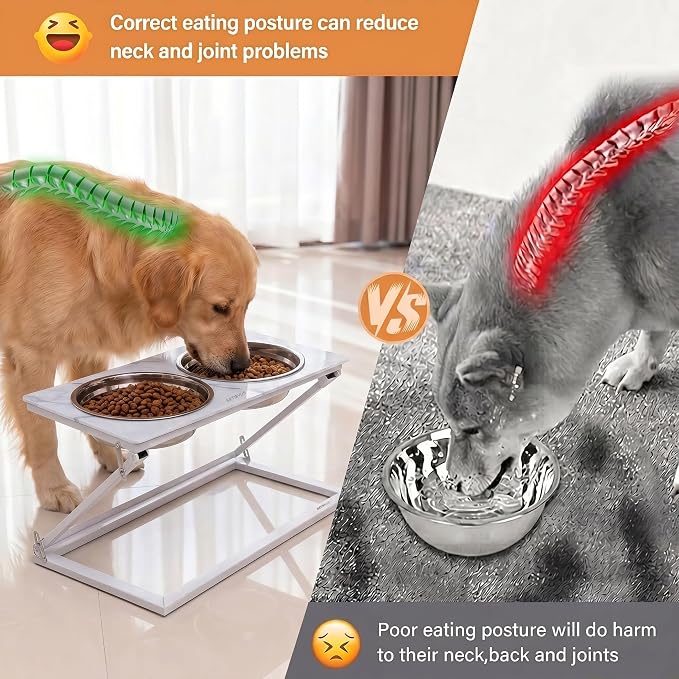 Elevated Dog Bowl, Adjustable Height and Tilt Angle Dog Bowl Stand | Precisely Adjust Height And Tilt Angle, Easy To Clean, Equipped With 2 Stainless Steel Food Bowls, Sturdy And Durable. - Image 4
