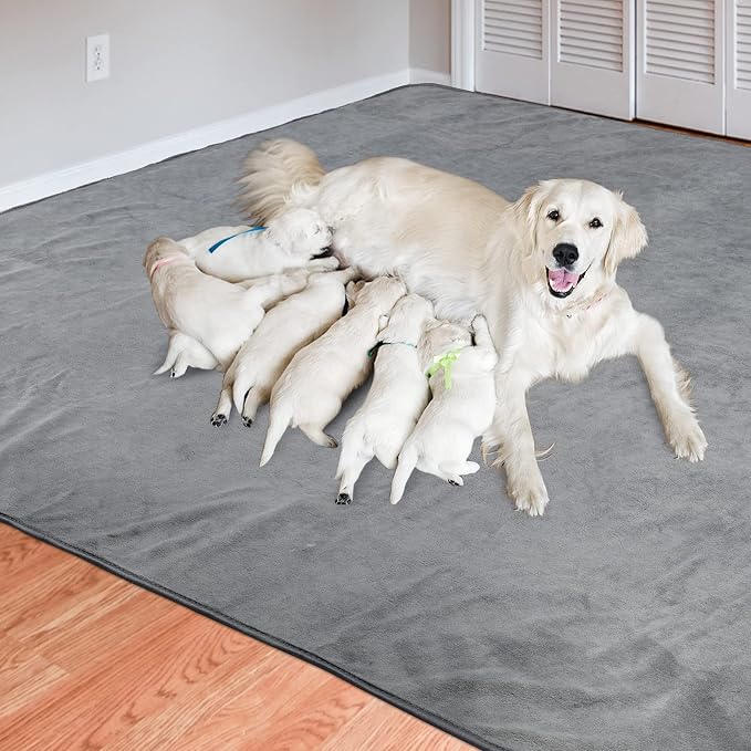 Dog Pee Pad Washable-Extra Large Instant Absorb Training Pads Non-Slip Pet Playpen Mat Waterproof Reusable Floor Mat for Puppy/Senior Dog Whelping Incontinence Housebreaking (31"x36"-(2PACK)) - Image 7
