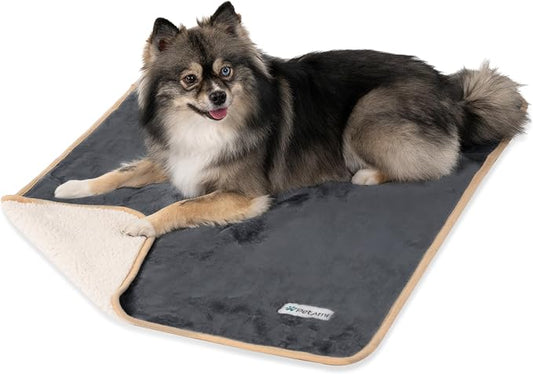 PetAmi Waterproof Dog Blanket for Small Medium Dogs, Pee Proof Pet Blanket for Couch Bed, Reversible Water Proof Blanket for Puppy Indoor Cat, Soft Dog Fleece Blankets Washable, 29x40 Gray/Beige by PetAmi