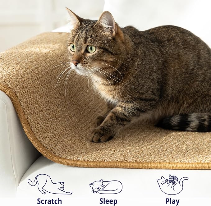 Cat Wall Climbing Carpet - Cat Wall Climber 67" x 17.5" with Fixed Nails – Scratching Rug Wall Scratchers for Indoor Cats | Climbing Wall Carpet | Scratching Mat. - Image 5