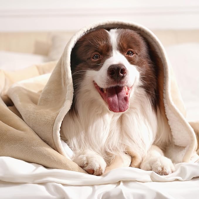 gogobunny Waterproof Pet Blanket for Small Dogs and Cats, Reversible Sherpa Fleece Soft Plush Throw for Couch Protection, Washable Furniture Protector (Beige, 30x40 inches) - Image 5