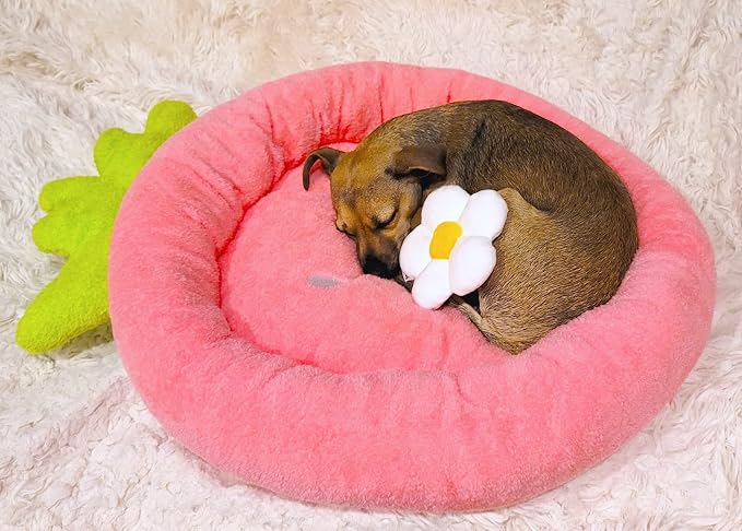 TONBO Soft Plush Small Cute and Cozy Food Dog Cat Bed, Washer and Dryer Friendly (Strawberry) - Image 2