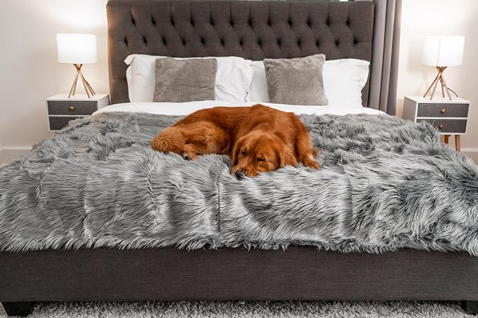 PAW BRANDS PupProtector Waterproof Throw Blanket, Charcoal Grey, 80x62 | Waterproof, machine washable — protects couches, beds & car seats - Image 2