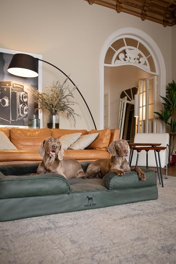 NOAH & PAW Giant Dog Bed XXL, 55x45x11 Inch, Orthopedic Dog Beds, Eggshell Memory Foam Infused with Cooling Gel, Inner Cover, Water Resistant, Machine Washable (Faux Leather) - Image 7