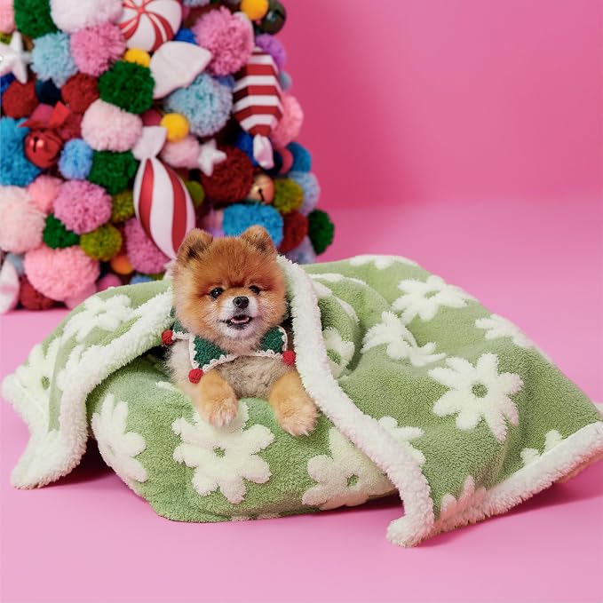 LE SURE Waterproof Dog Blankets for Small Dogs Cute Cozy 3D Jacquard,25x35 | Puppy Blanket for Cat Aesthetic Gift, Warm Soft Sherpa Throw Washable, Reversible Pet Couch Protector, Flower Garden Green - Image 2