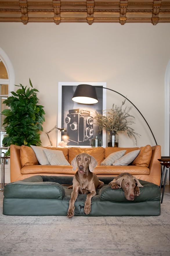 NOAH & PAW Giant Dog Bed XXL, 55x45x11 Inch, Orthopedic Dog Beds, Eggshell Memory Foam Infused with Cooling Gel, Inner Cover, Water Resistant, Machine Washable (Faux Leather) - Image 2