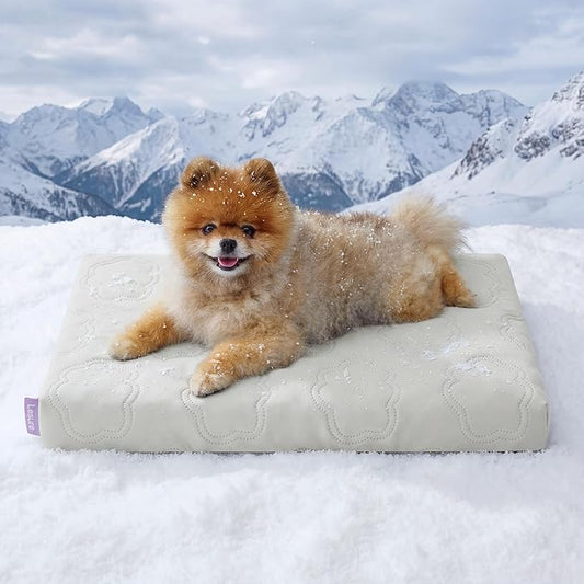 LE SURE ApexCloud™ Small Cooling Dog Bed with Washable Cover, 23x17 Inch | Q-Max>0.5 Cool-Touch Fabric, Orthopedic Egg Crate Foam,Breathable Non-Slip Summer Mat,For Active Senior Long-Haired Pets,Grey by Lesure