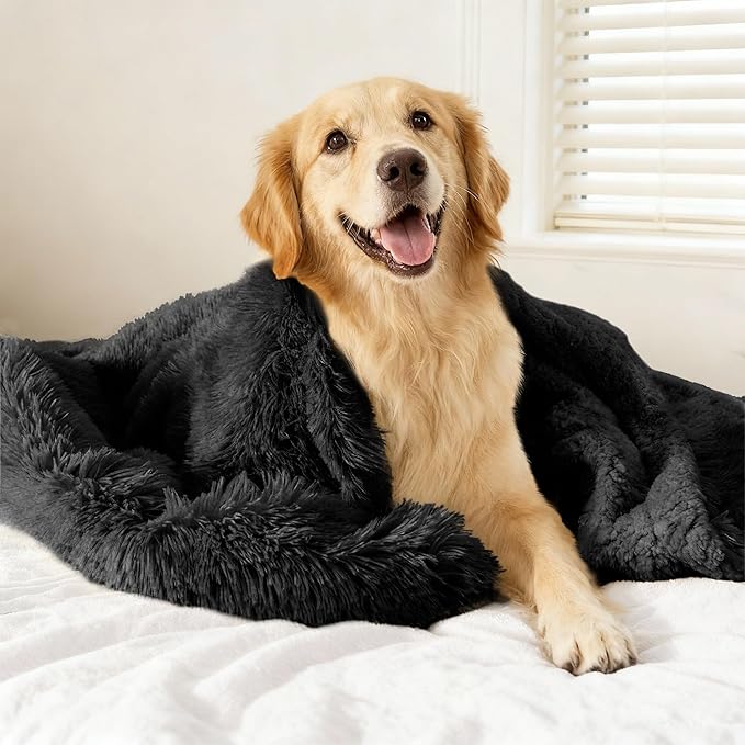 gogobunny Waterproof Dog Blanket for Couch & Furniture Protection - Super Soft Reversible Throw for Large Dogs & Cats, Calming Washable Fur & Sherpa Pet Blanket (60x80 Inch, Black) by gogobunny