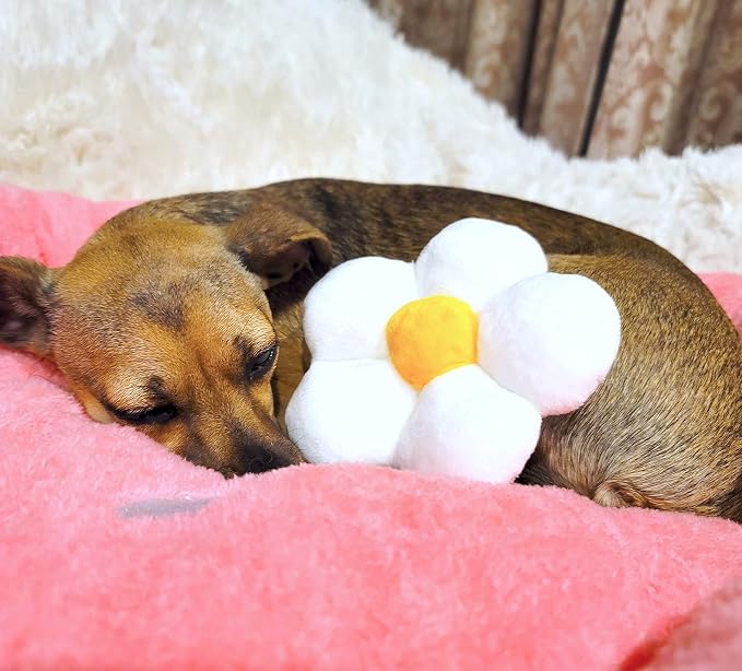 TONBO Soft Plush Small Cute and Cozy Food Dog Cat Bed, Washer and Dryer Friendly (Strawberry) - Image 4