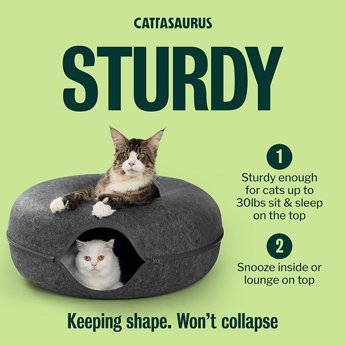 Cattasaurus Peekaboo Cat Cave Duo Jumbo Set, Extra Spacious Cat Donut for Multiple & Large Kitty 15+ lbs, Scratch Detachable Cat Beds for Indoor Cats, Washable Cat Tunnel Bed, Best Kitten Toys - Image 7